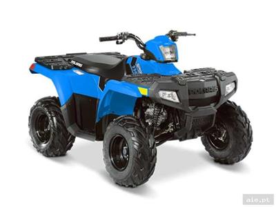 SPORTSMAN 110 (R09)