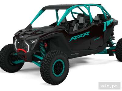 RZR PRO R4 ULTIMATE (R02)
